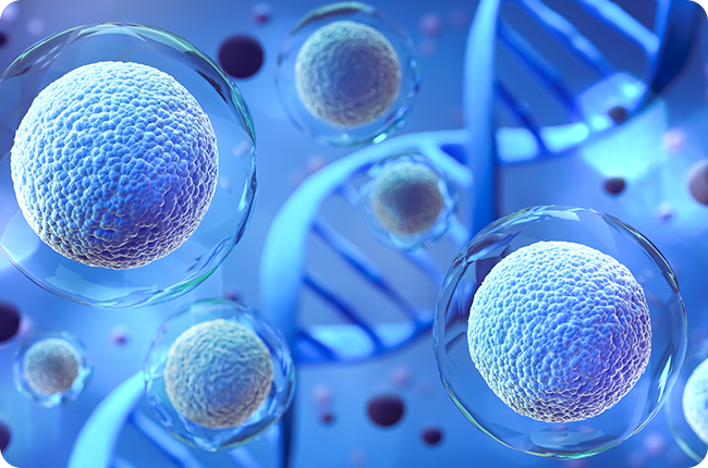 Stem Cell Hair Loss Treatment