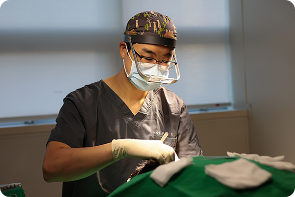 During Surgery