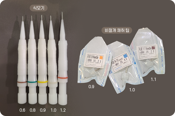 Transplantation